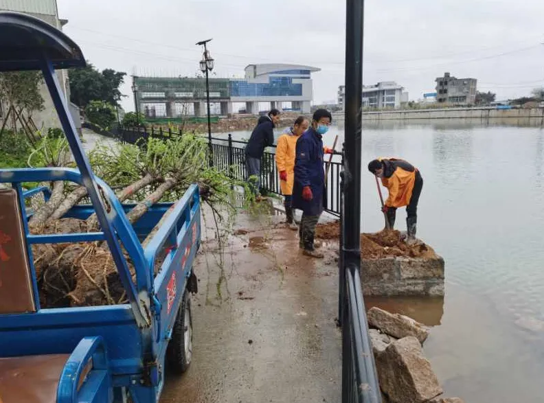 岐头社区：唤醒百年古村落 留住乡愁留住根