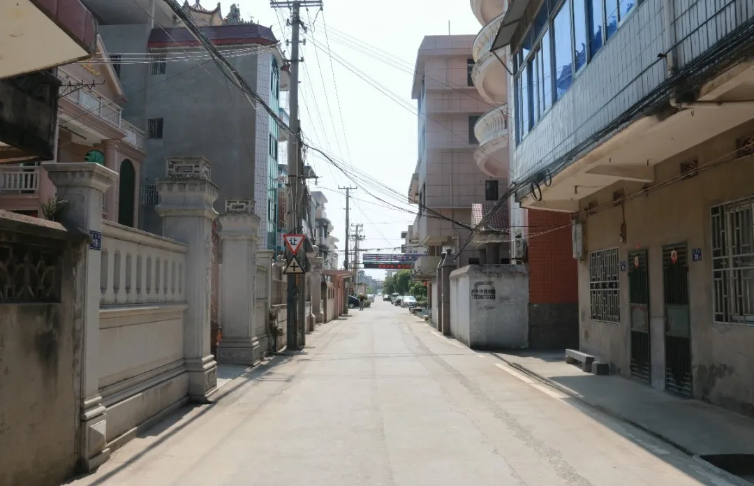 革命老区龙田村：聆听那一段红色故事