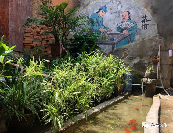 西宅村：一方天地，静享庭院时光