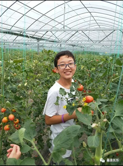 长乐这个村不得了！土地流转生“金”村民增收致富