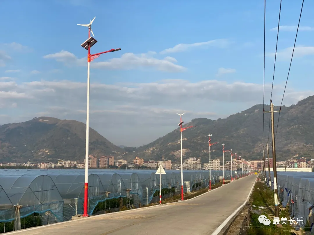 长乐这个村不得了！土地流转生“金”村民增收致富