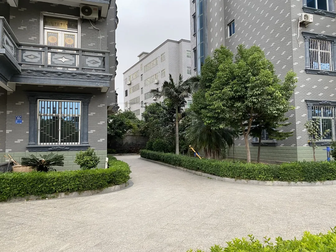 路顶村：紧抓建设施工 助推乡村振兴