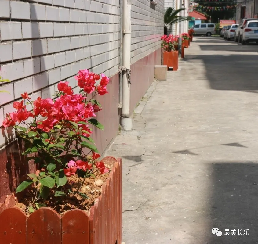 西关村：“家底”更厚 生活更美