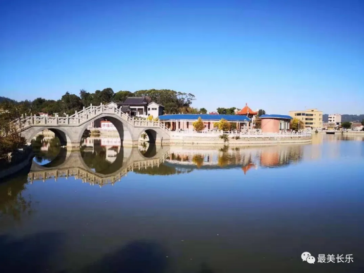 郑朱村：护好东湖水 结出“生态果”