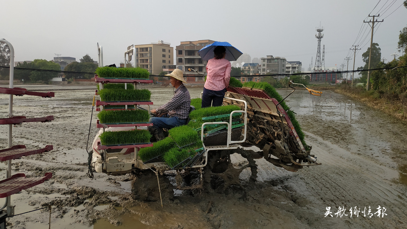 古槐镇：农机闹春耕 插秧快又好