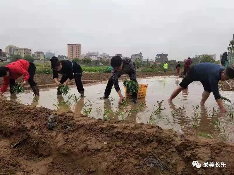 百户村：凝聚人心 共建家园