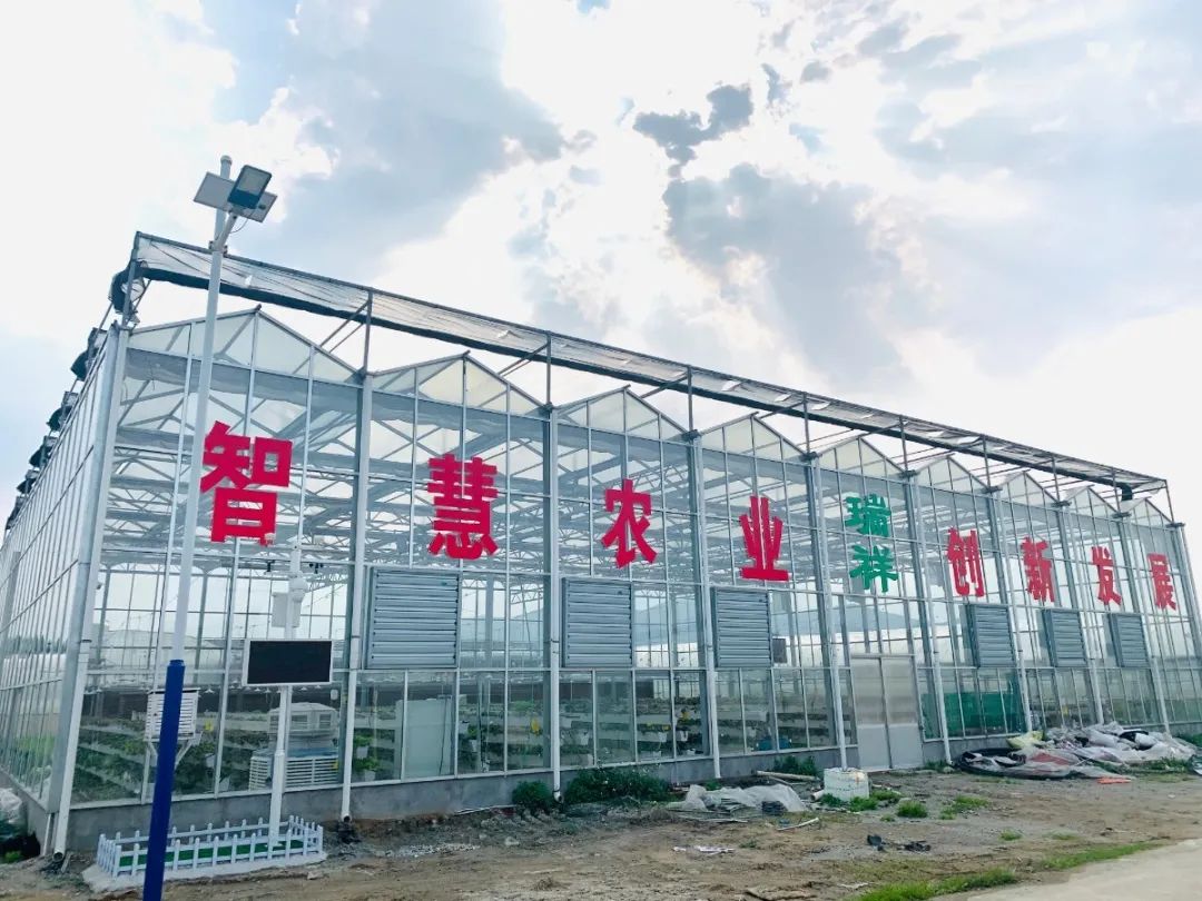 村美 民富 乡愁浓！从三个村的变化看文武砂党建引领乡村振兴