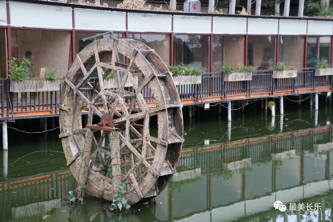 漳港街道门楼村共享时光产业园：“微度假”悄然兴起 乐享恬适慢生活