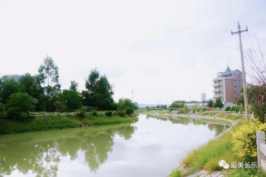 东平村：解锁乡村振兴“密码” 共建美好家园