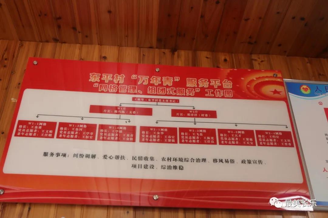 东平村：解锁乡村振兴“密码” 共建美好家园