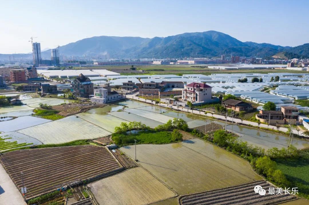 东平村：解锁乡村振兴“密码” 共建美好家园