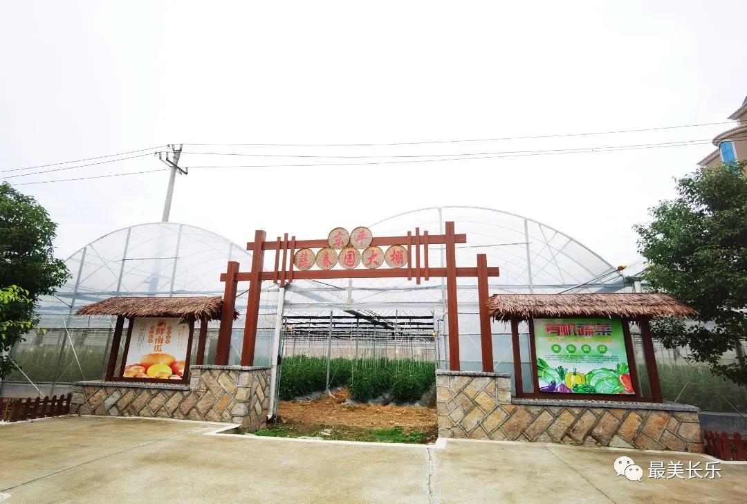 东平村：解锁乡村振兴“密码” 共建美好家园