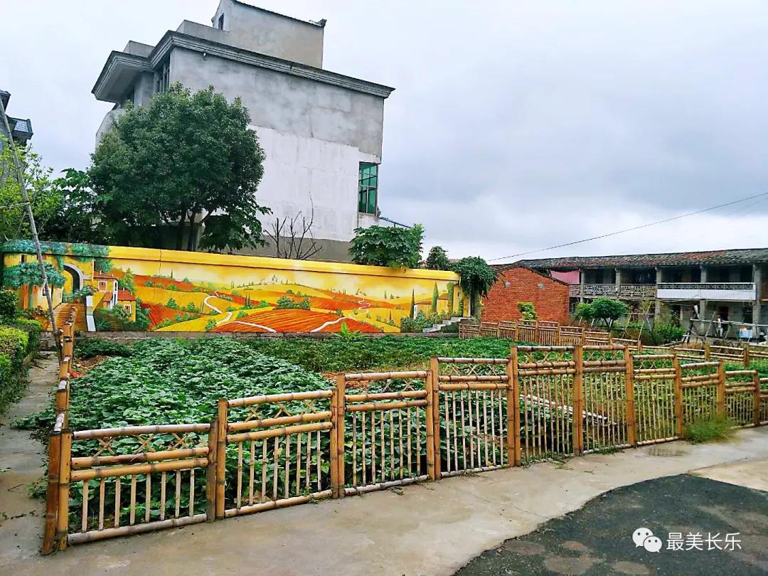 东平村：解锁乡村振兴“密码” 共建美好家园
