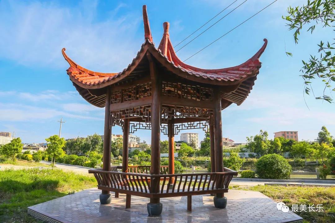 东平村：解锁乡村振兴“密码” 共建美好家园