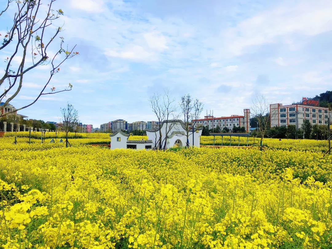 鹏谢村：振兴有实招 村民展笑颜