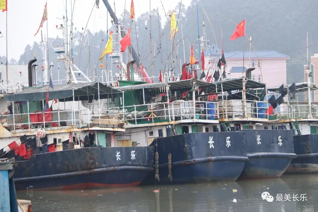 潭头加速推进二级渔港升级改造！完工时间就在……