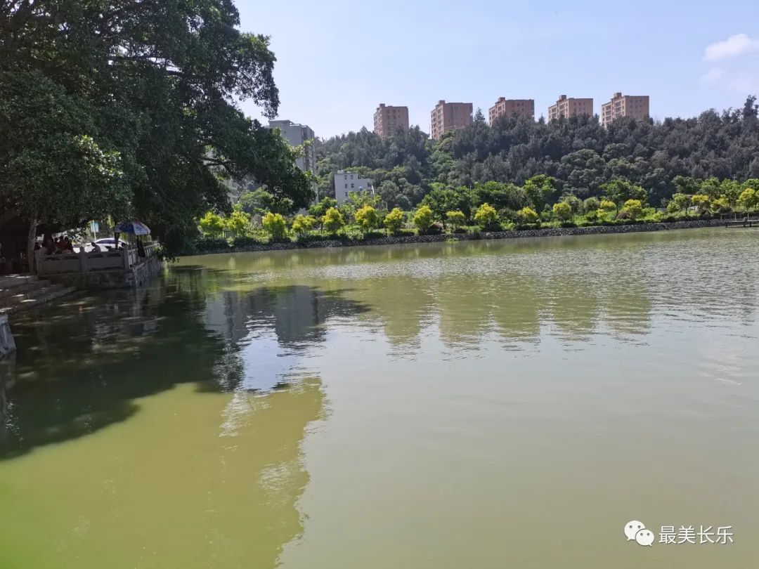 多措并举护河爱水，文岭绘就水清岸绿生态画卷