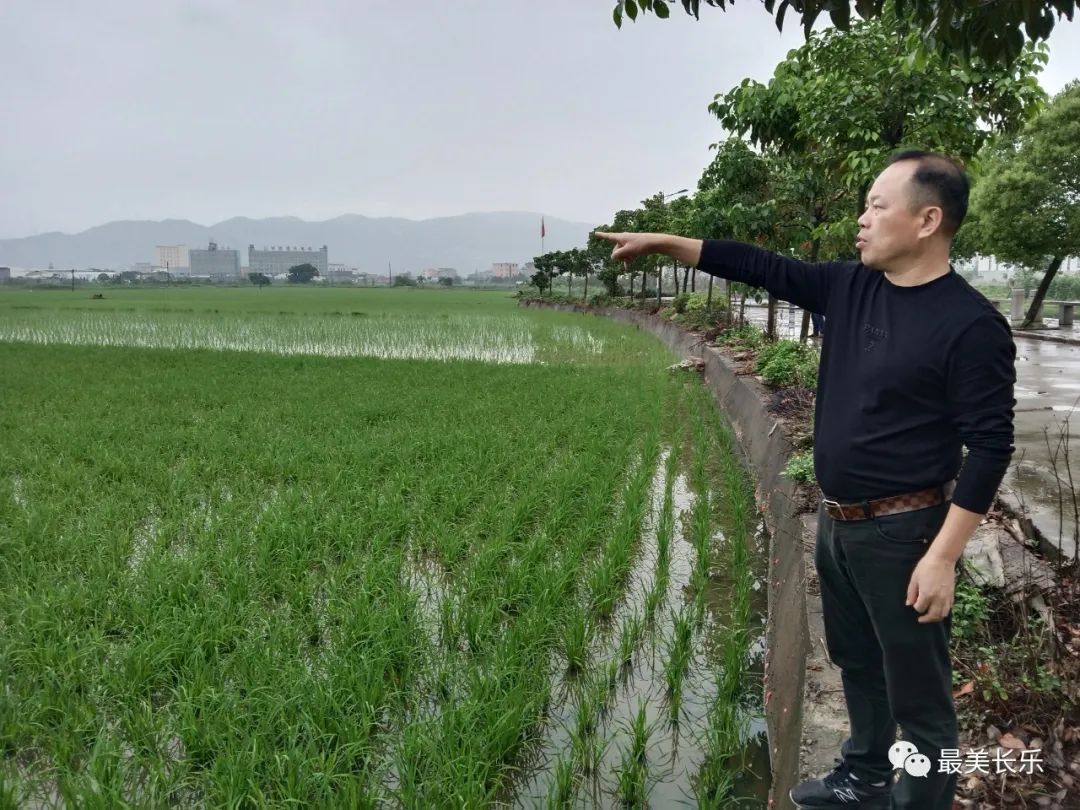 改革动态|田长制，护耕地！长乐农民有福气！