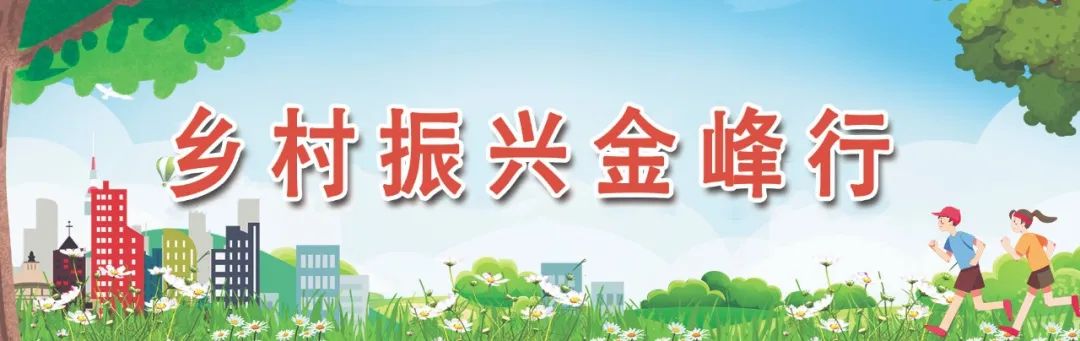 你追我赶，金峰这场“大比拼”看点满满