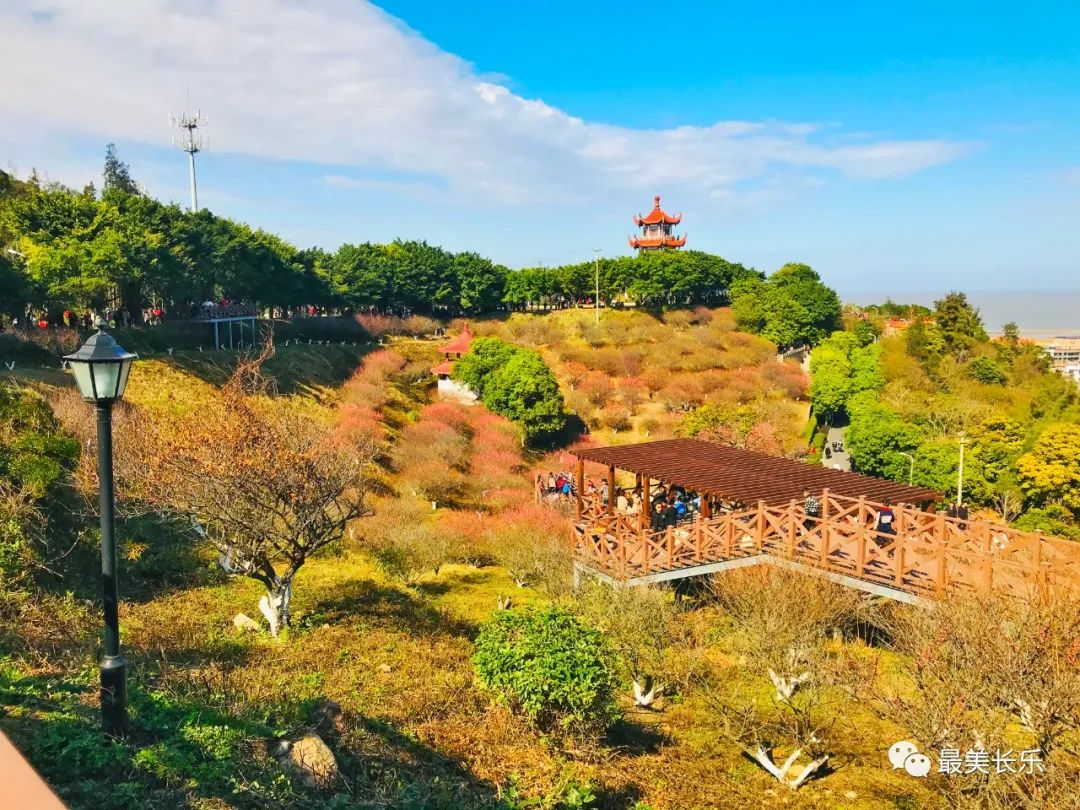 【网络中国节•春节】新春走基层丨有古城有“梅”景！这个春节一起相约打卡！