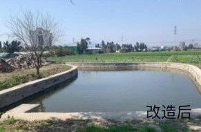 赞！ 这个街道“三问于民”做法亮了！