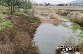 赞！ 这个街道“三问于民”做法亮了！