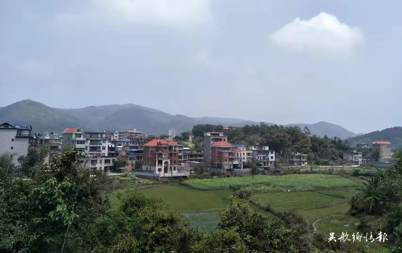 溪湄村：山清水秀促发展 生态文化齐发力