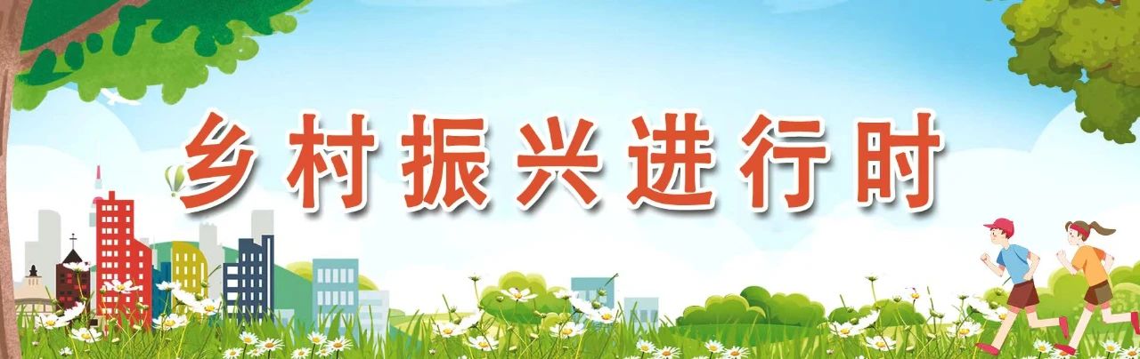 长乐这里的夏日“小笼包”已成熟，就等你来采摘啦！