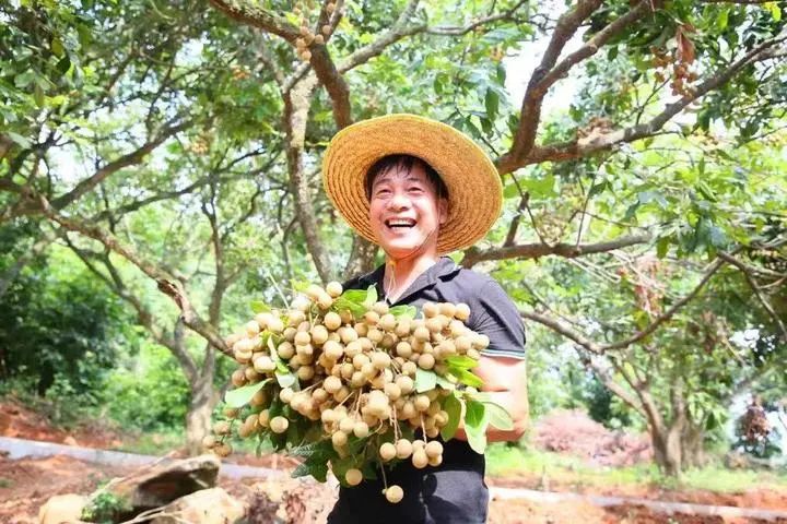 福山下有福树、福果，等你来一“名”惊人！