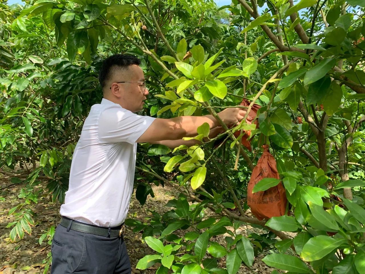 就在长乐！这里的“pao”又熟了！