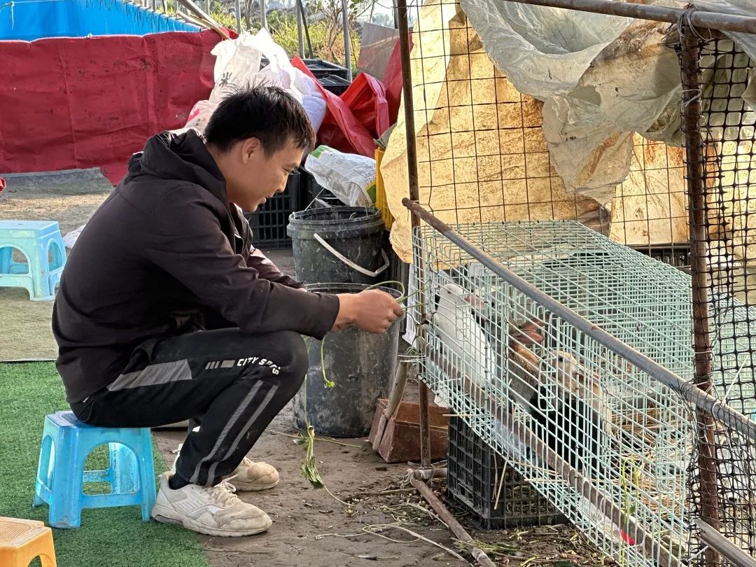 抢“鲜”亮相！长乐冬天草莓上市~