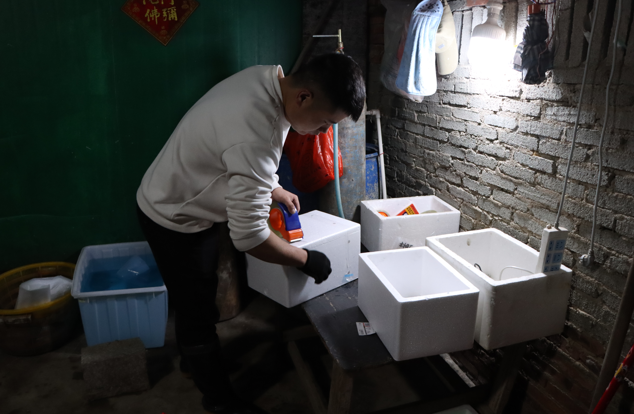 长乐唯一！这个直播有新意