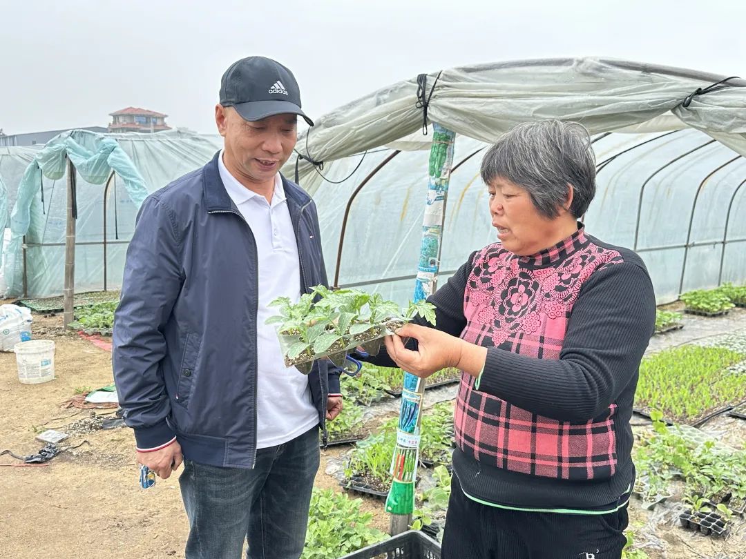 数十万株！争“鲜”上市……