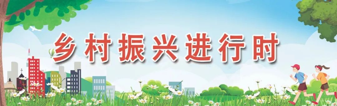 丰收了！许多长乐人爱吃→