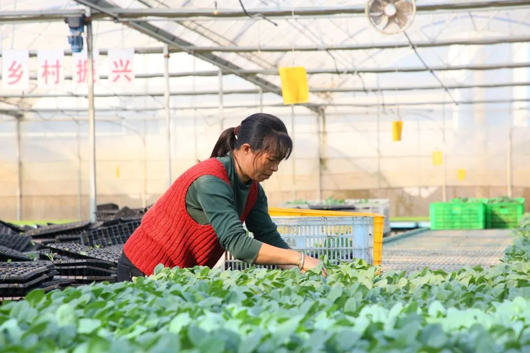 “水上漂”秘籍曝光！就在长乐这里......