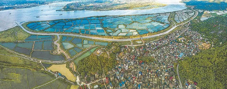 长乐“番客”传奇！靠“四把刀”漂洋过海，参与诺曼底登陆……