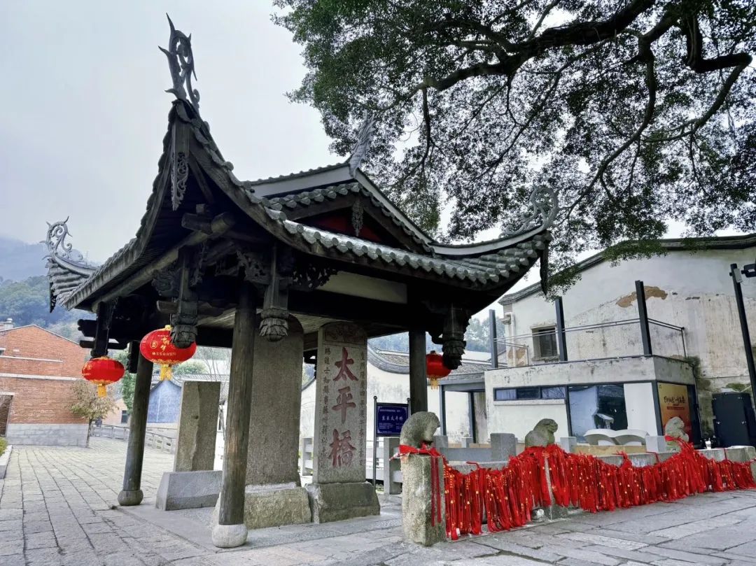 探寻“一生长乐”的幸福密码