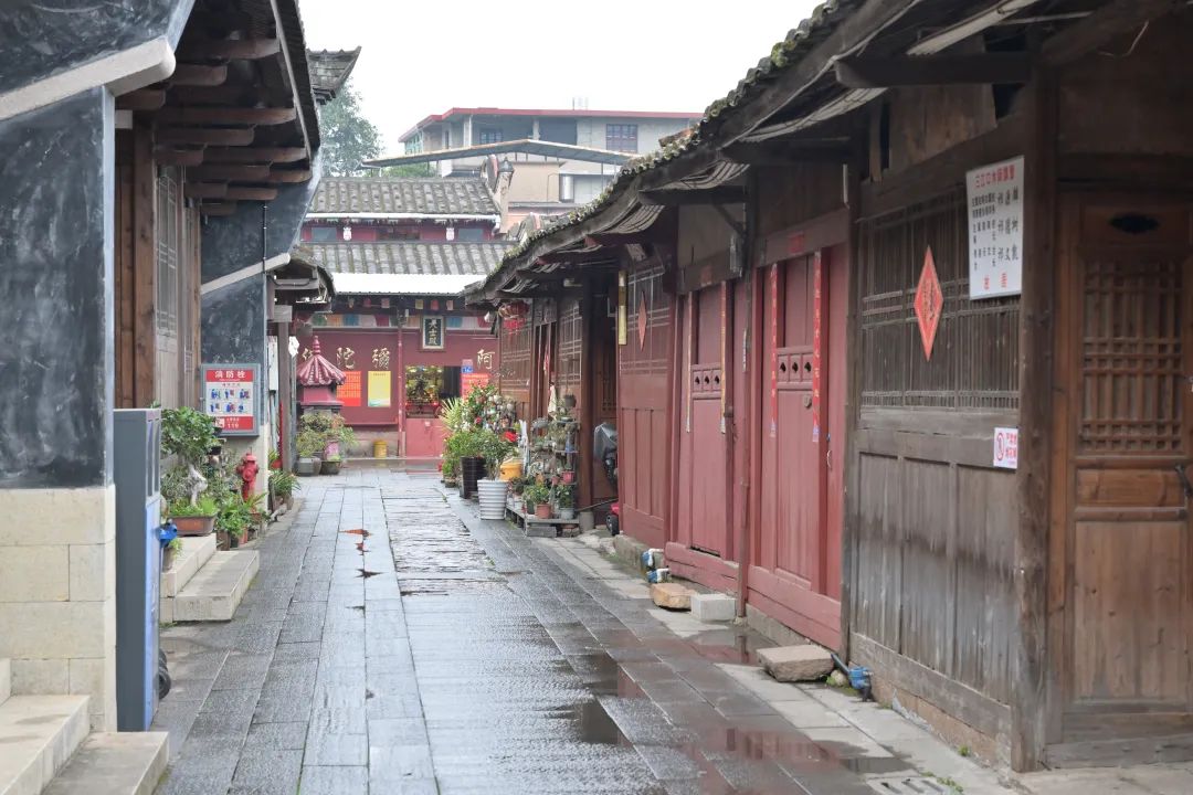 探寻“一生长乐”的幸福密码