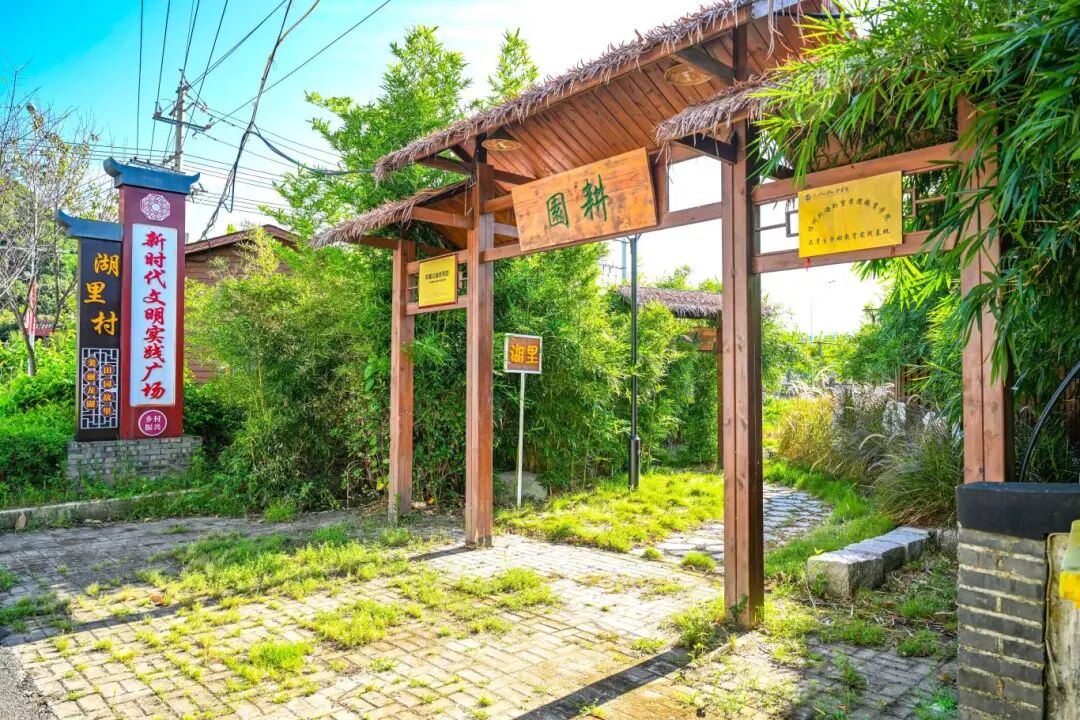 省级示范村！农业+旅游+研学，快来打卡→