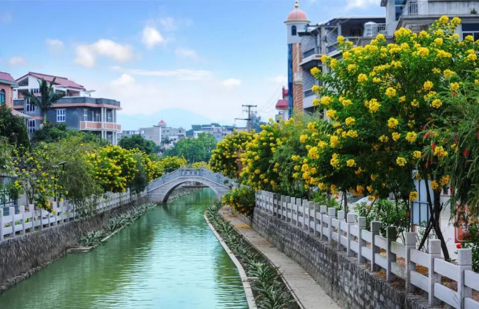 经验可复制！福州新区（长乐区）乡村治理火了！