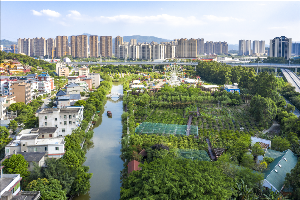 经验可复制！福州新区（长乐区）乡村治理火了！