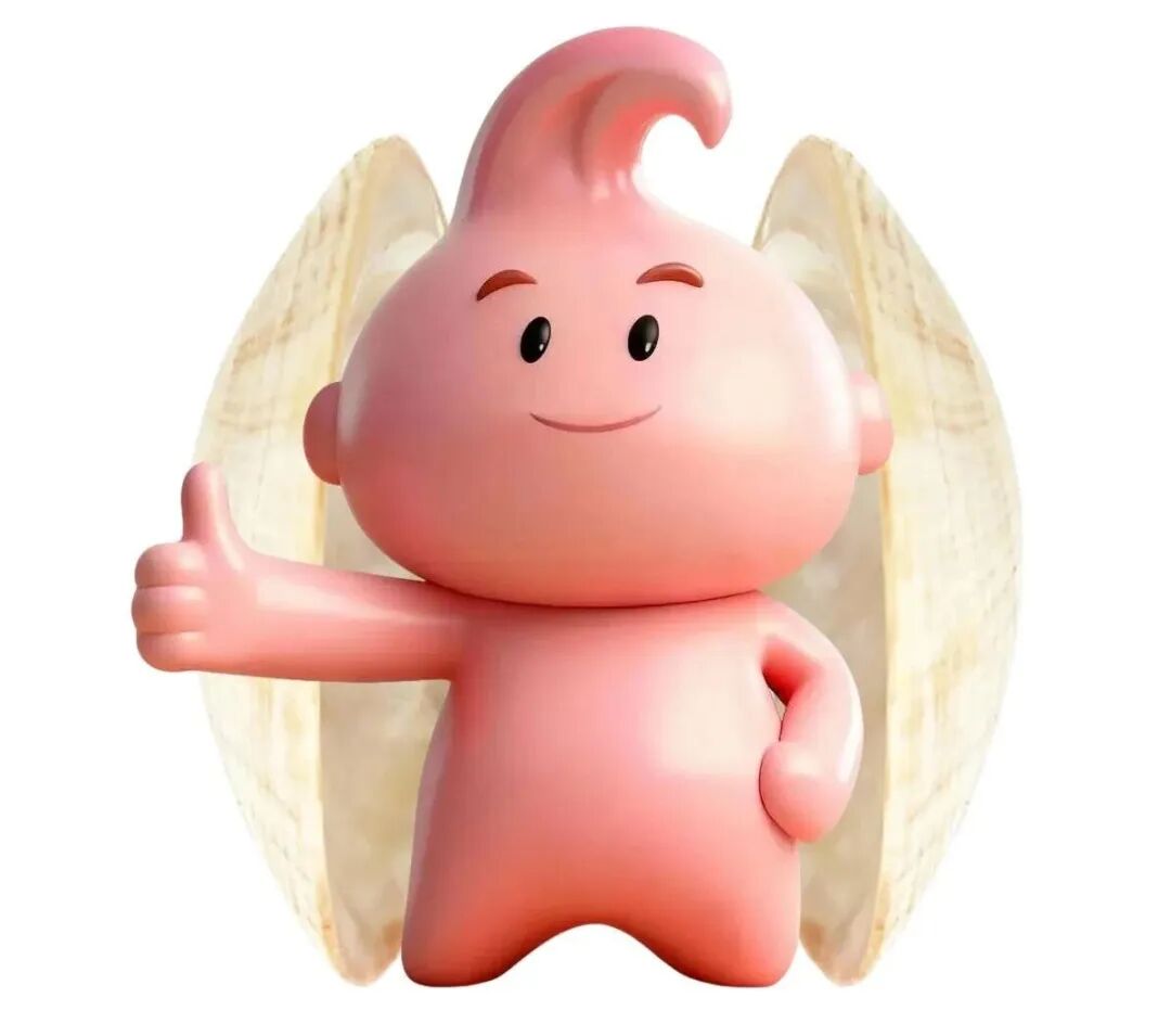 围观！漳港圆润可爱的“蚌宝宝”C位出道！