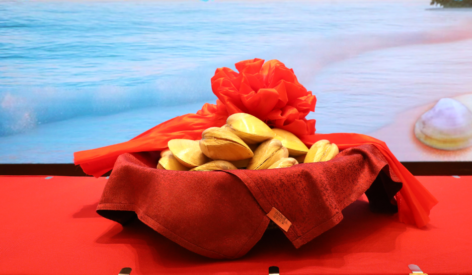 围观！漳港圆润可爱的“蚌宝宝”C位出道！