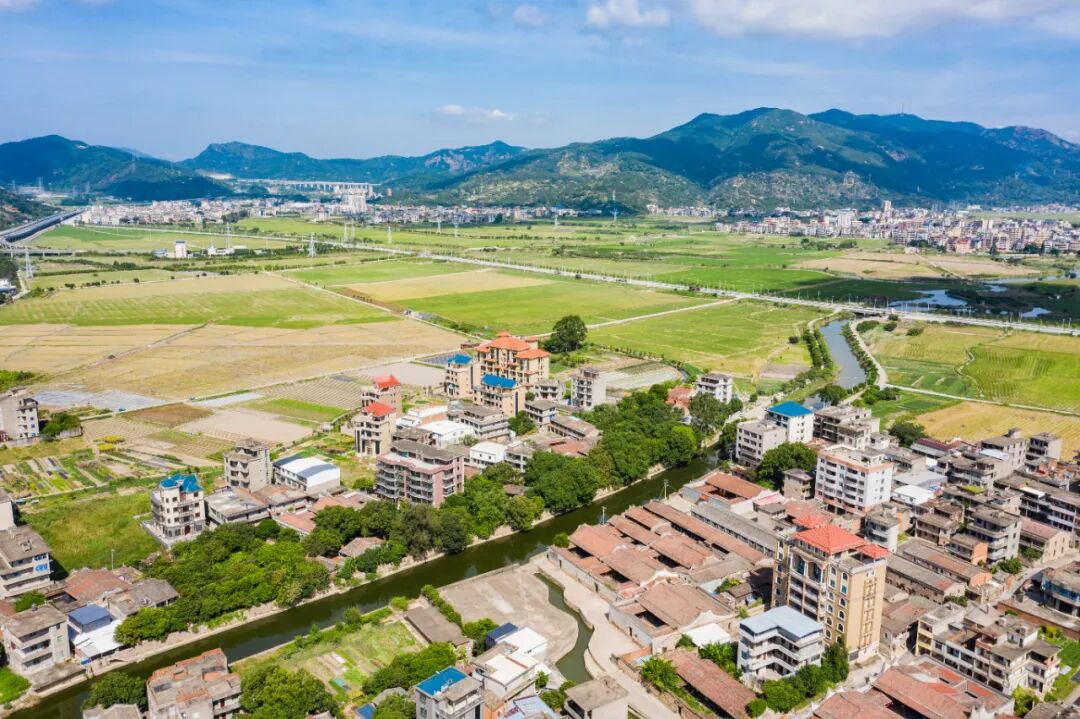 这个乡镇治水有一套！就靠这三招→