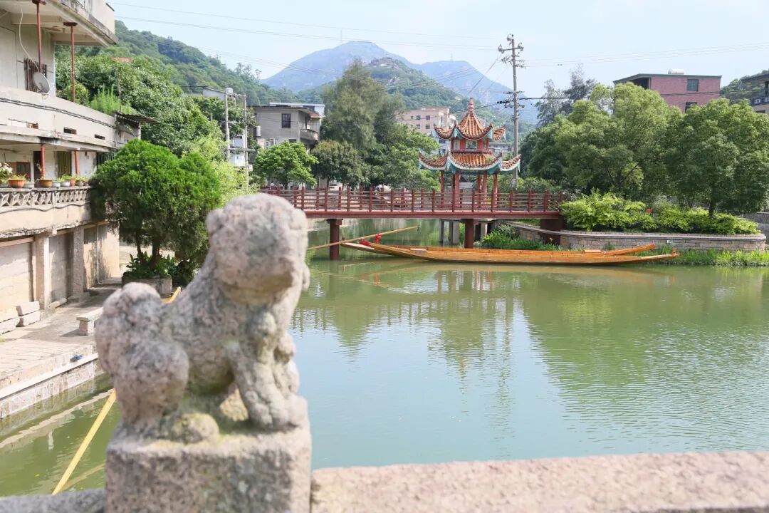 这个乡镇治水有一套！就靠这三招→