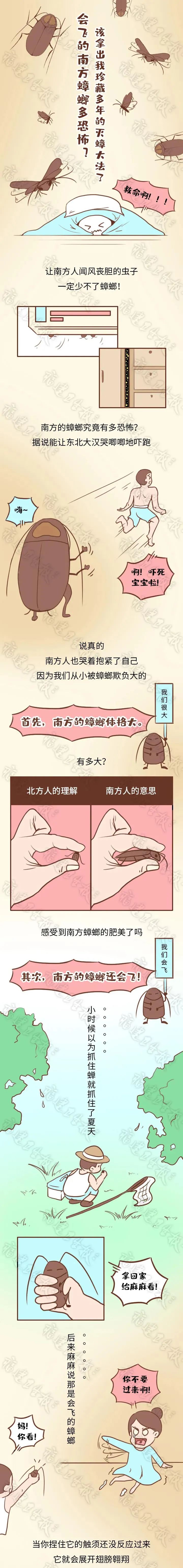 本周五！福州城区统一行动！