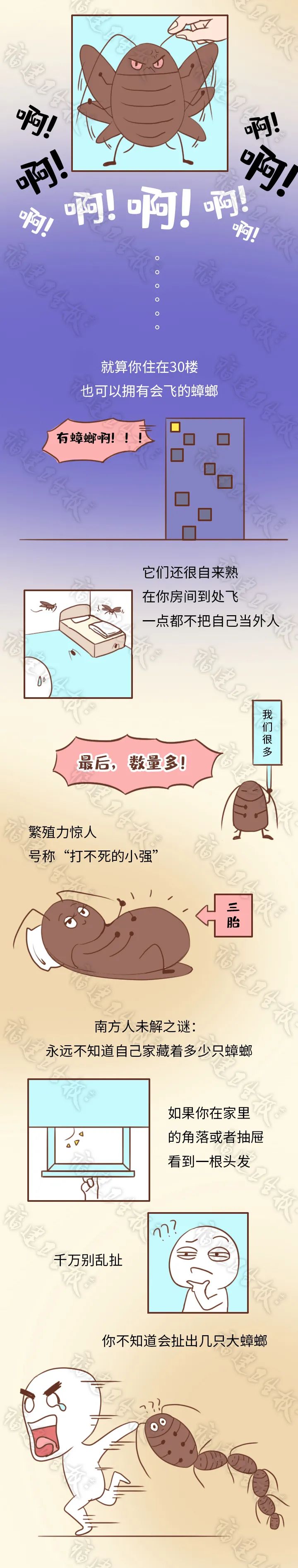 本周五！福州城区统一行动！