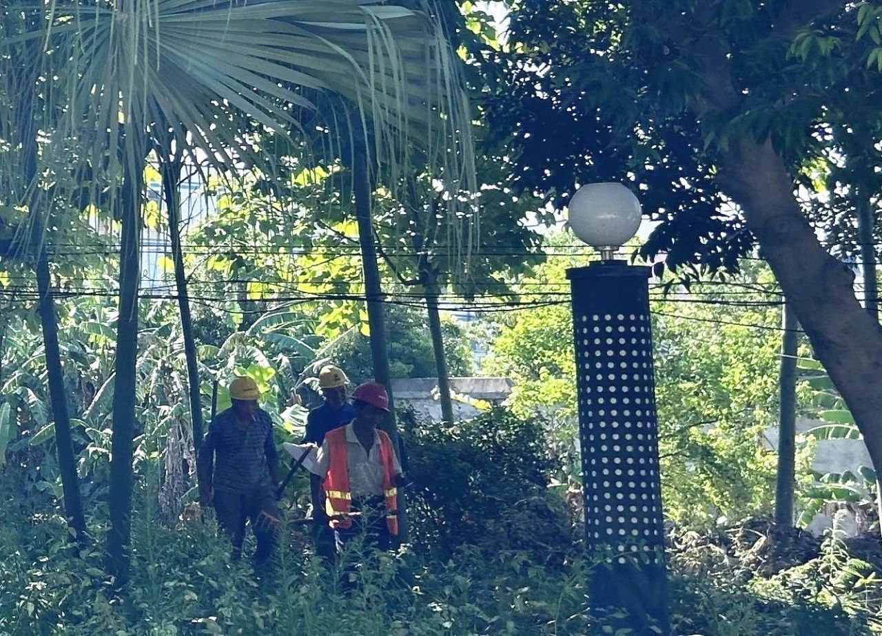 民声零距离 || 期待！长乐这条河道年底“微”改上“新”