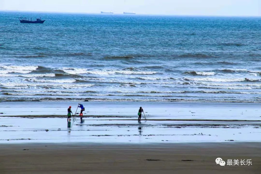 与海风一起扑面而来的，是生机涌动的蓬勃景象——福州新区振翅腾飞向未来