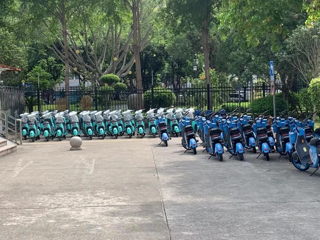 约800辆投放长乐！点位公布→